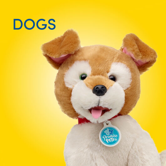 Build a outlet bear stuffed animals