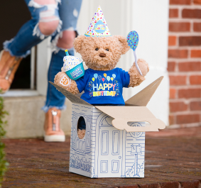 Build a sale bear birthday teddy