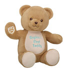 Online Exclusive Embroidered Baby Brown Teddy Bear - Build-A-Bear Workshop&reg;