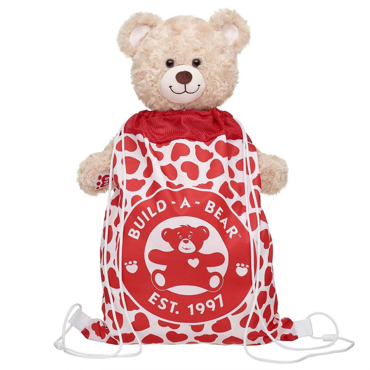 Heart Toy Bear Carrier