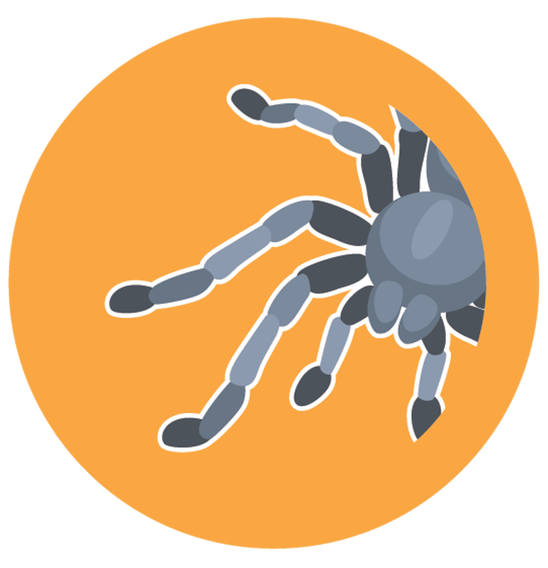 Spider Legs Scent by Build-A-Bear