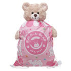Frosted Animal Cookie Toy Bear Carrier plush by Build-A-Bear