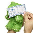 Mini Beans Dino-Mite T-Rex Plush - Build-A-Bear Workshop®
