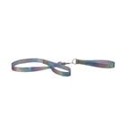 Rainbow Sparkle Leash & Collar 2 pc.