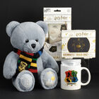 Ultimate Harry Potter™ I'd Rather Be at Hogwarts™ Fan Box
