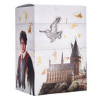 Harry Potter Gift Box
