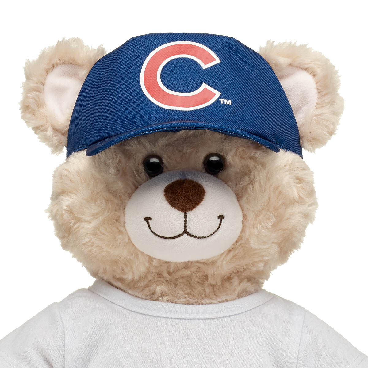 Chicago Cubs Hat