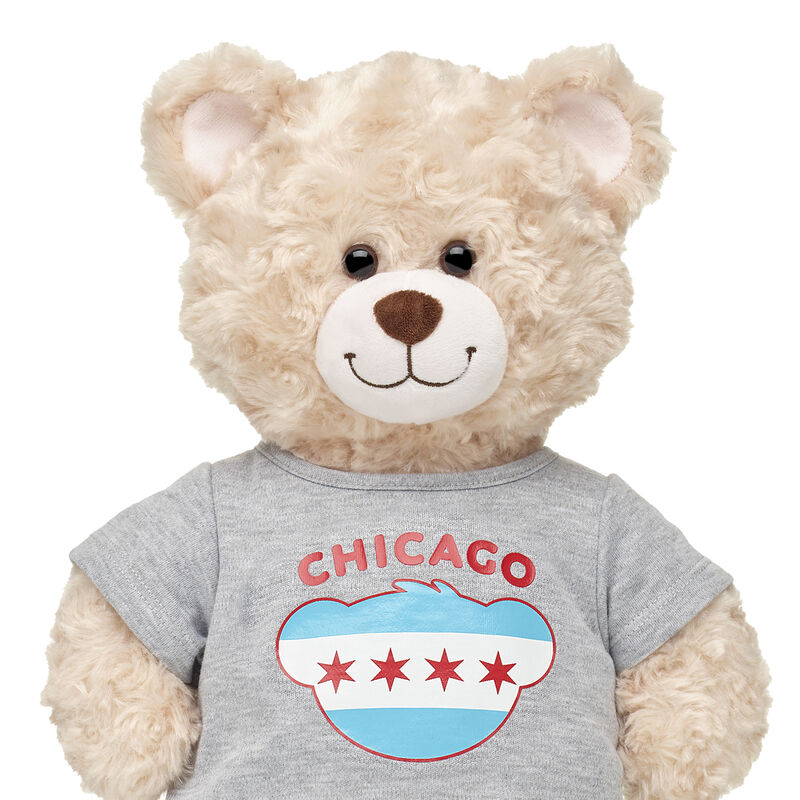 Chicago Flag T-Shirt by Build-A-Bear