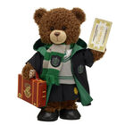 HARRY POTTER™ Bear SLYTHERIN™ Hogwarts Express Gift Set 