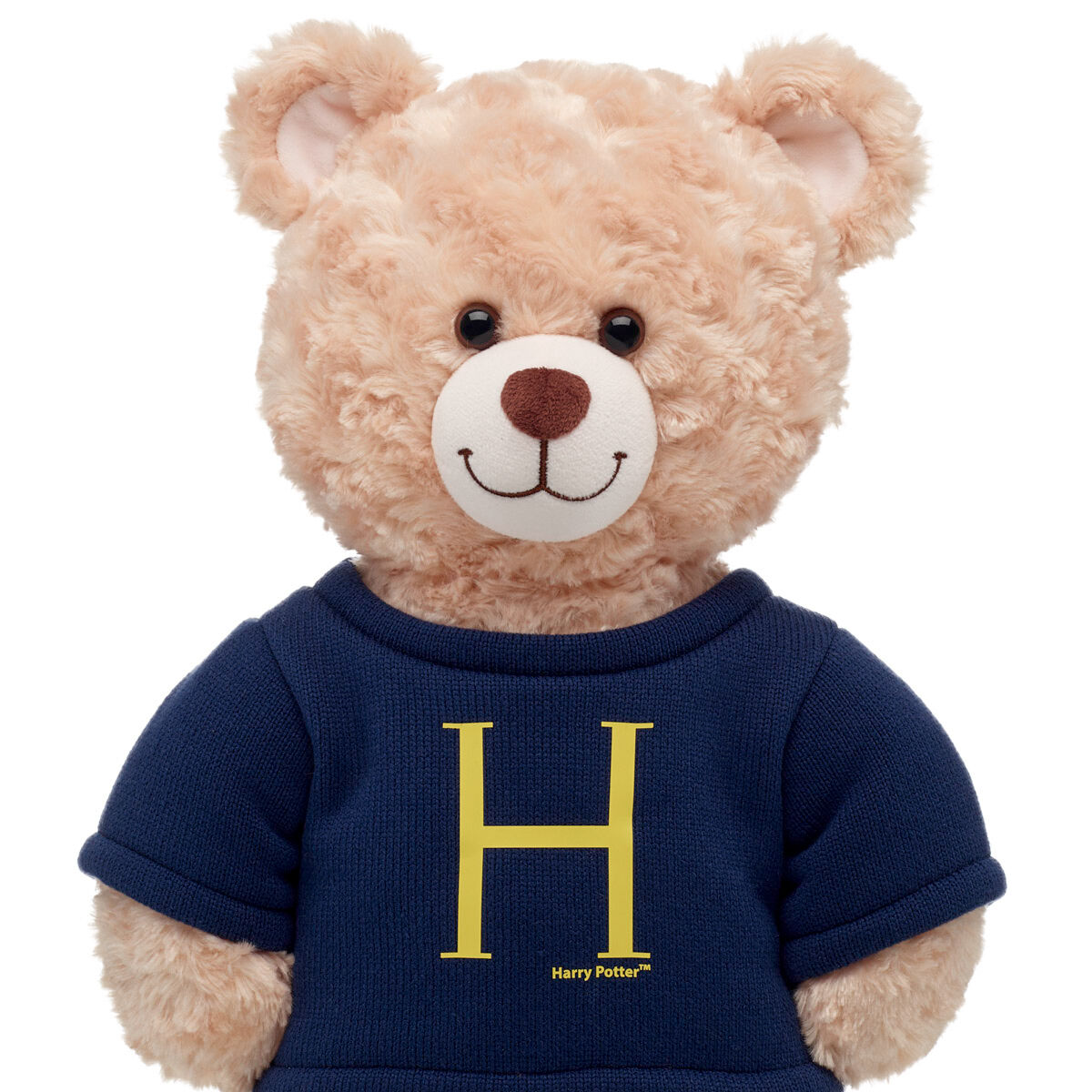 HARRY POTTER™ Harry Sweater