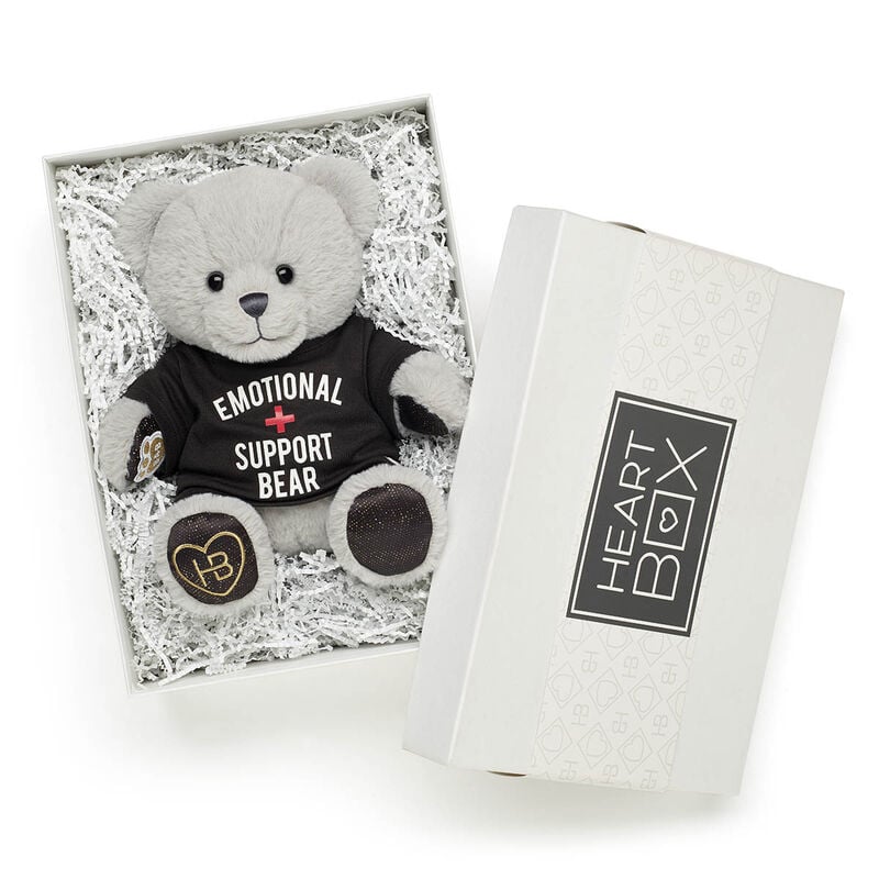 Emotional Support Bear Gift Box 
