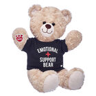 Online Exclusive Emotional Support Bear T-Shirt