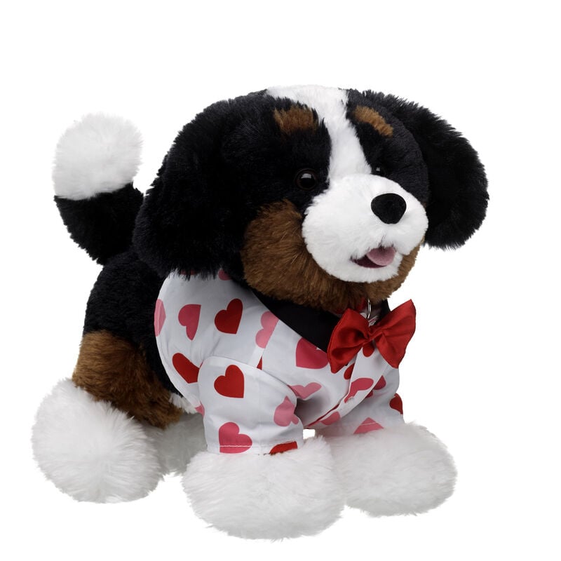 Promise Pets Bernese Mountain Dog Stuffed Animal Valentine's Day Gift Set plush by Build-A-Bear