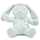 SWAR MINT BUNNY