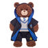 Ravenclaw House Robe