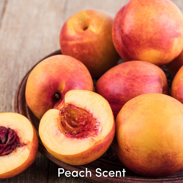 Peach Scent