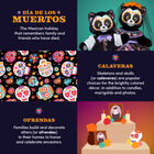 Día de los Muertos Cat Stuffed Animal Suit Gift Set