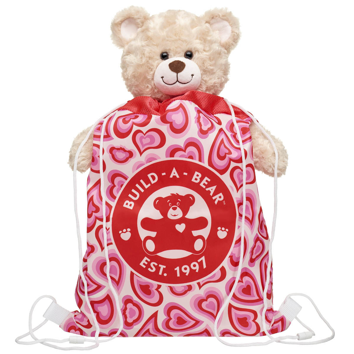 Groovy Hearts Toy Bear Carrier