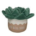 Get Well Soon Succulent Wristie