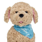 Promise Pets Reversible Bandana