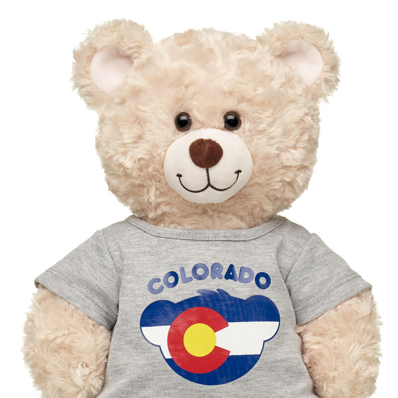 Colorado Flag T-Shirt by Build-A-Bear
