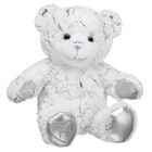 Time to Shine Bear