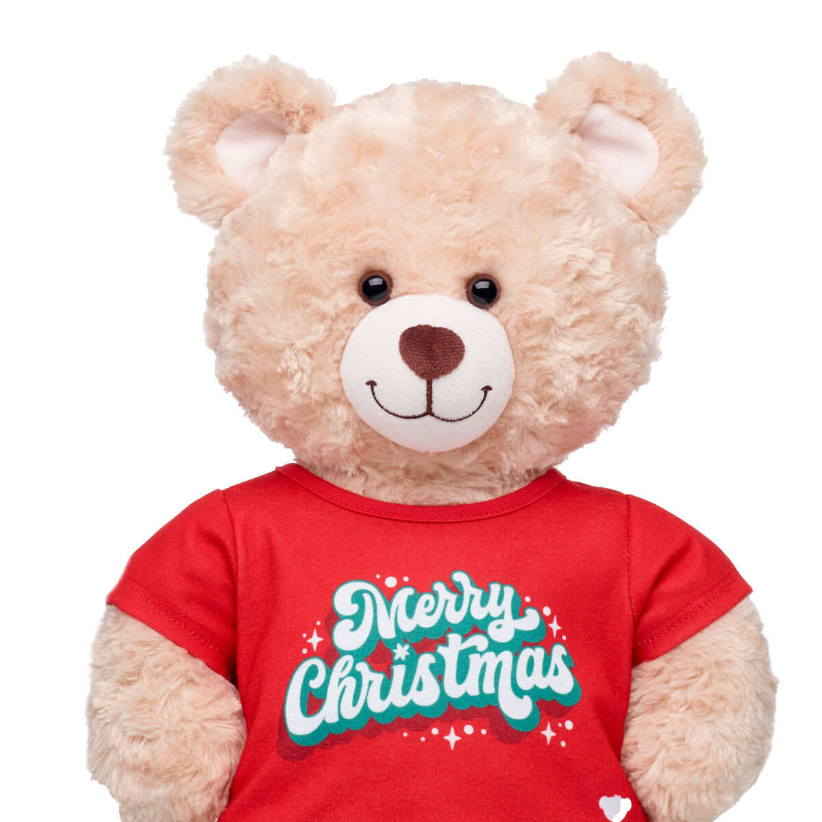 Merry Christmas T-Shirt