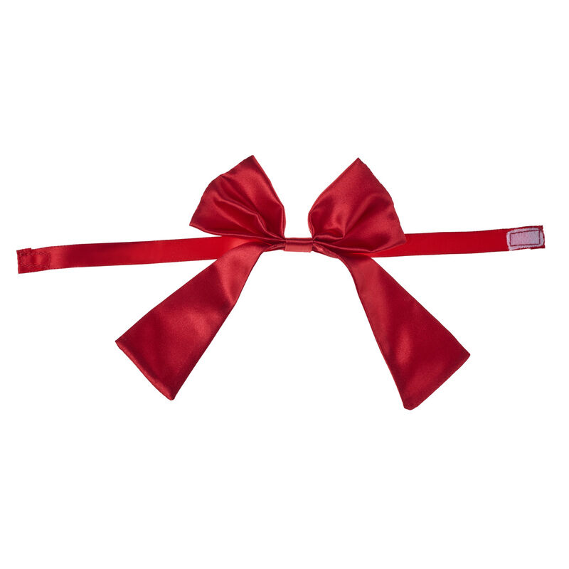 Celebrate It 4 Red Satin Ribbon - Each