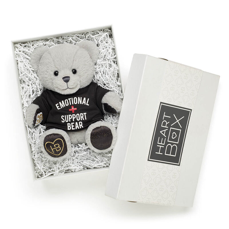 Emotional Support Bear Gift Box 