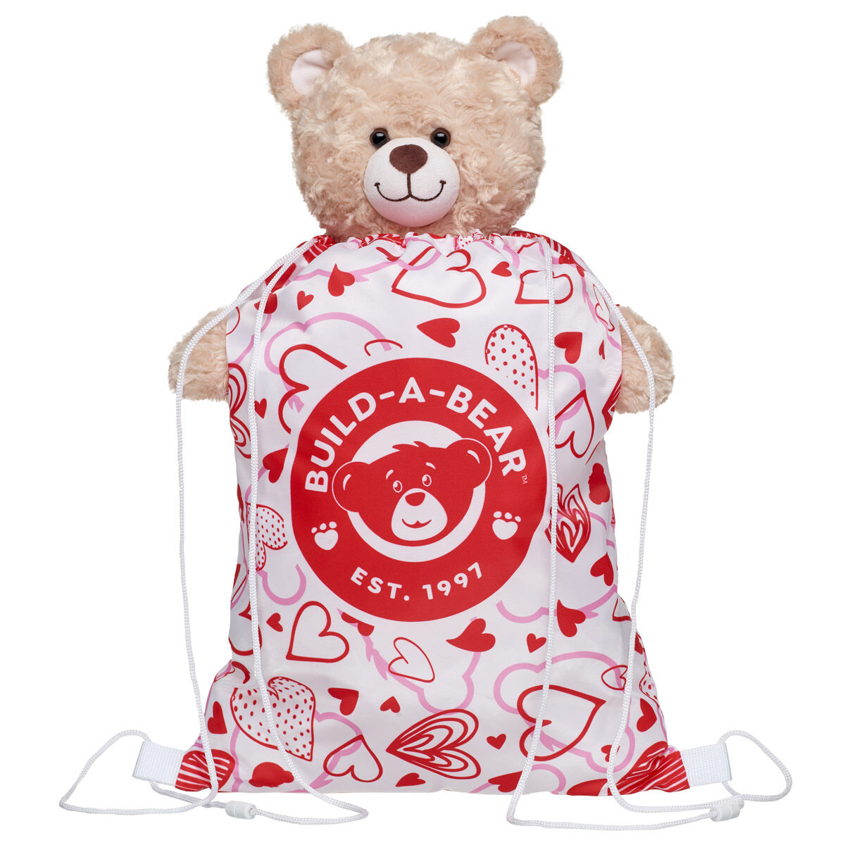 Valentine's Day Toy Bear Carrier