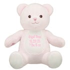Online Exclusive Embroidered Baby Pink Teddy Bear - Build-A-Bear Workshop&reg;