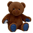 Chocolate Brown Bear