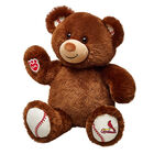 St. Louis Cardinals Bear