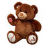 St. Louis Cardinals Bear