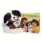 Promise Pets Bernese Mountain Dog Stuffed Animal with "Promise Pets: The Adopt-A-Pup Plan" Book plush by Build-A-Bear
