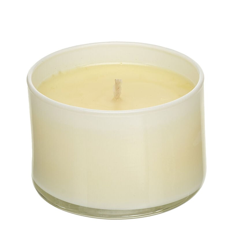 Trapp Signature Home Collection—No. 25 Lavender de Provence Scented Candle (3.75 oz.)