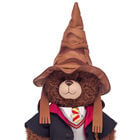Sorting Hat with Sound