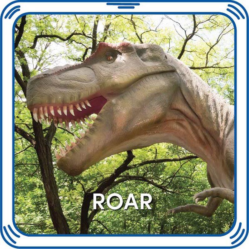 Five dollar Valentine's gifts - The Roar