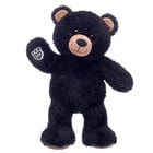 Black Bear