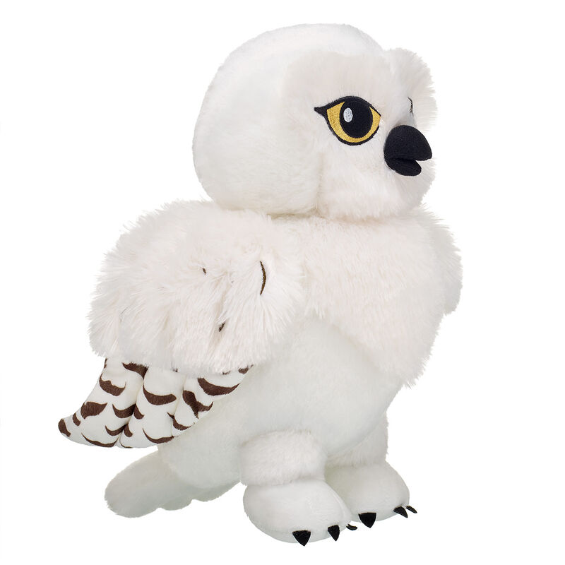 HEDWIG™