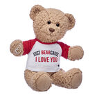 Timeless Teddy Just BEARcause Gift Set