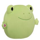 SKOOSHERZ™ Spring Green Frog Stuffed Animal 