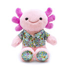 Axolotl Cubscription Box