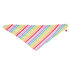 Online Exclusive Rainbow Bandana