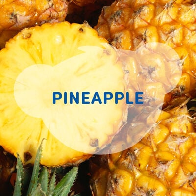 SCENTiments™ Fresh Pineapple Scent