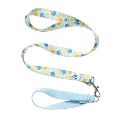 Promise Pets&trade; Blue Leash 