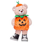 Happy Hugs Pumpkin Costume Gift Set