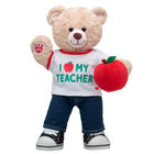 Happy Hugs Teddy Apple for Teacher Gift Set