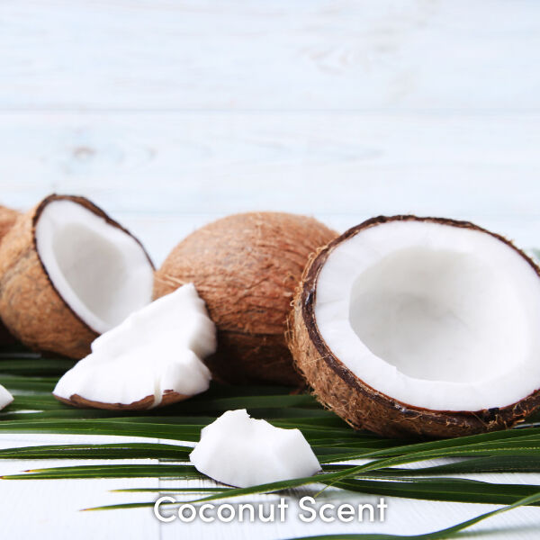 Coconut Scent