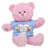 Online Exclusive Pink Cuddles Teddy You're the Best Gift Set
